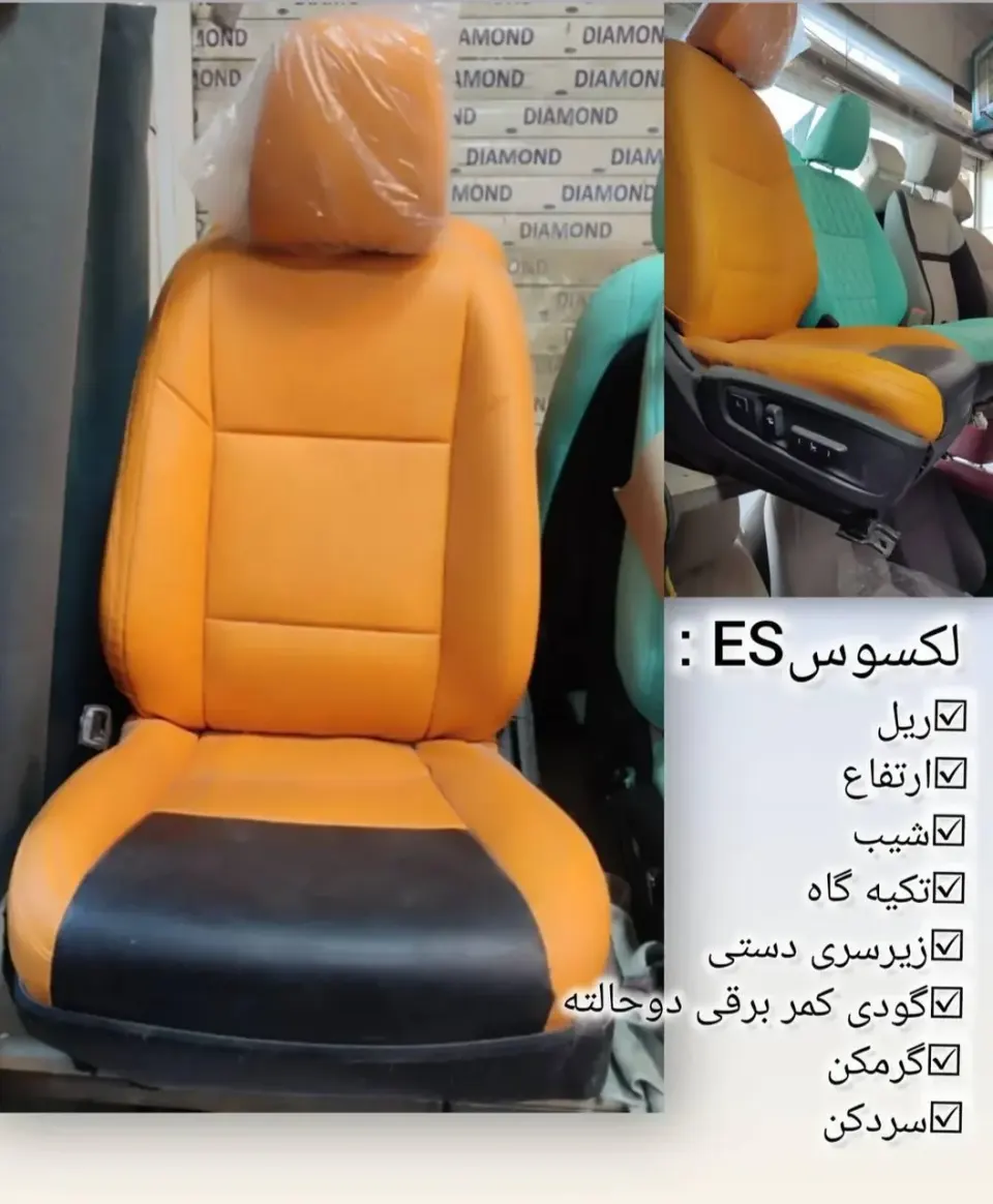 شخصی سازی خودرو رامرو