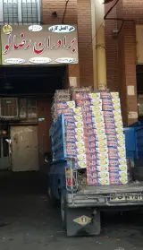 حق العمل کاری برادان رضالو