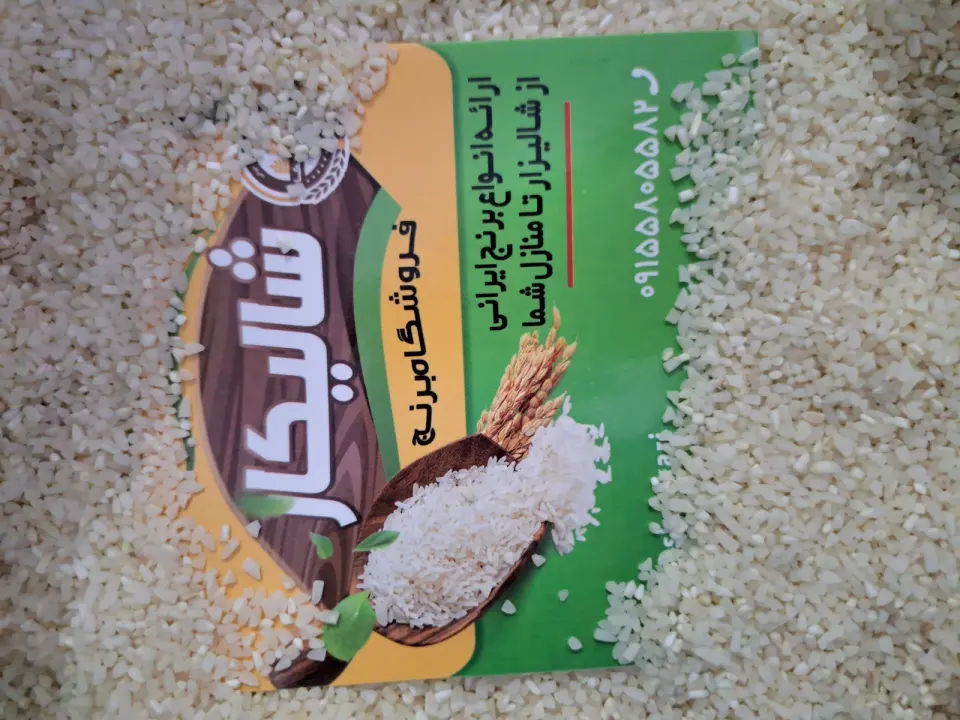 برنج شالیکار