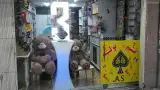 آقای تولد