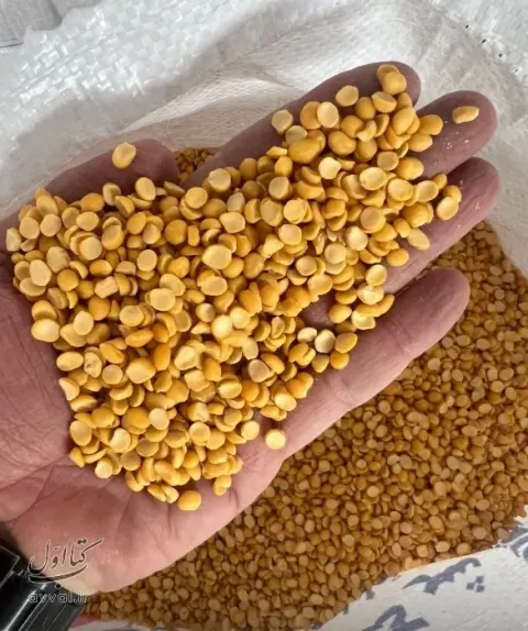 فروشگاه لایق