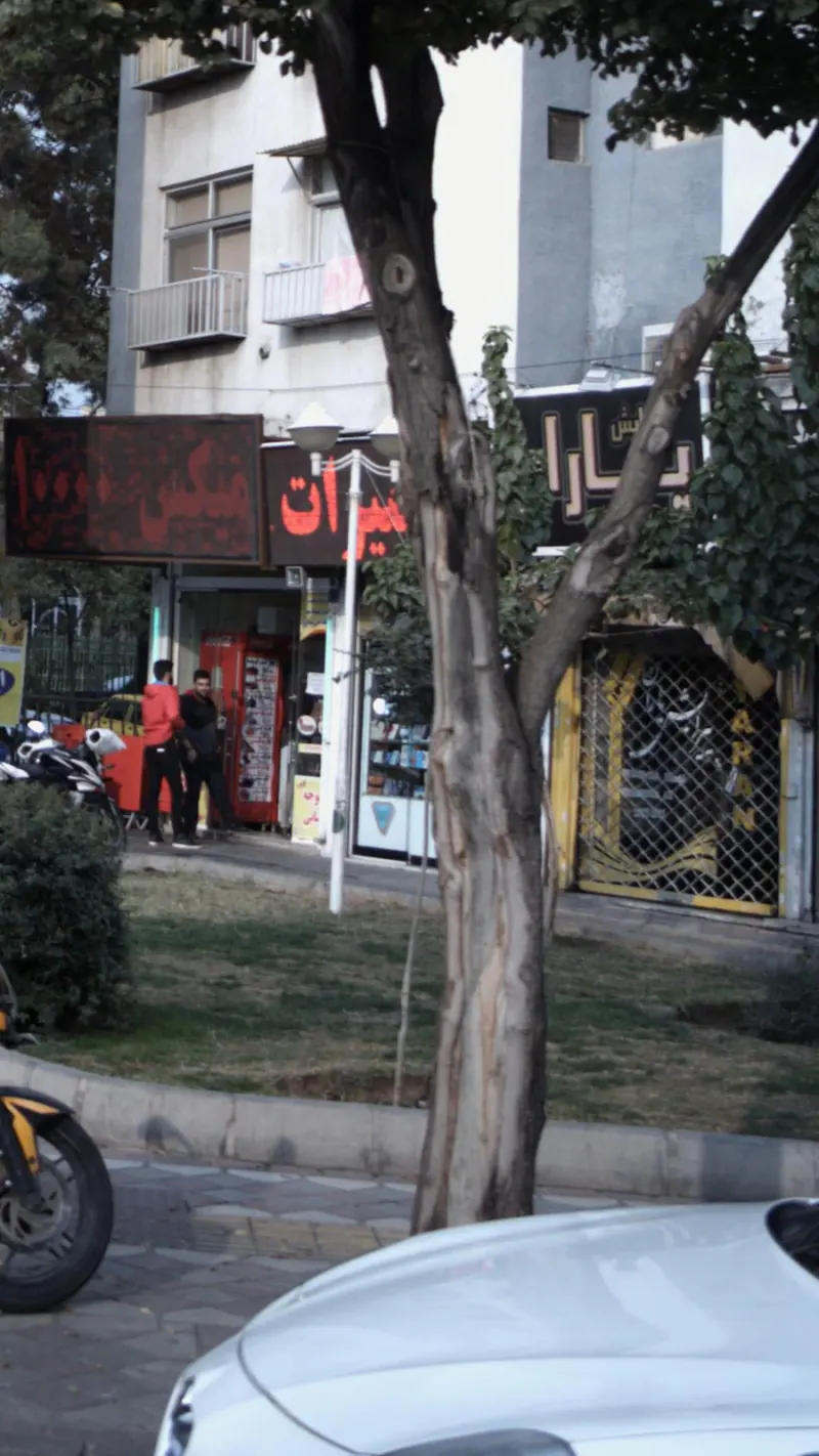 پیرایش رایان