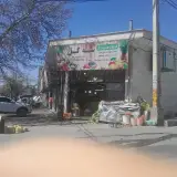 میوه و تره بار سید