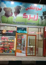 پروتئین زیرک