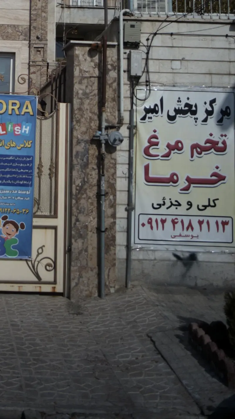 مرکز پخش امیر تخم مرغ خرما