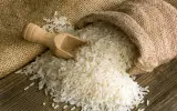 پخش خواروبار و برنج فروشی زیتون