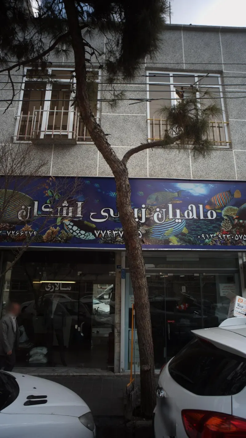 ماهیان زینتی اشکان