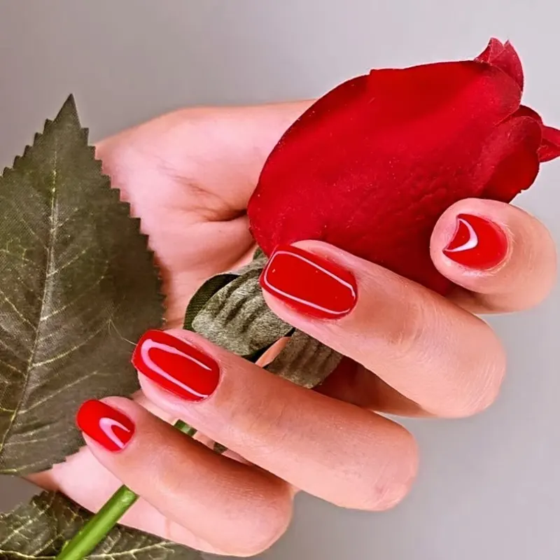 خدمات تخصصی ناخن و مژه ژیوار