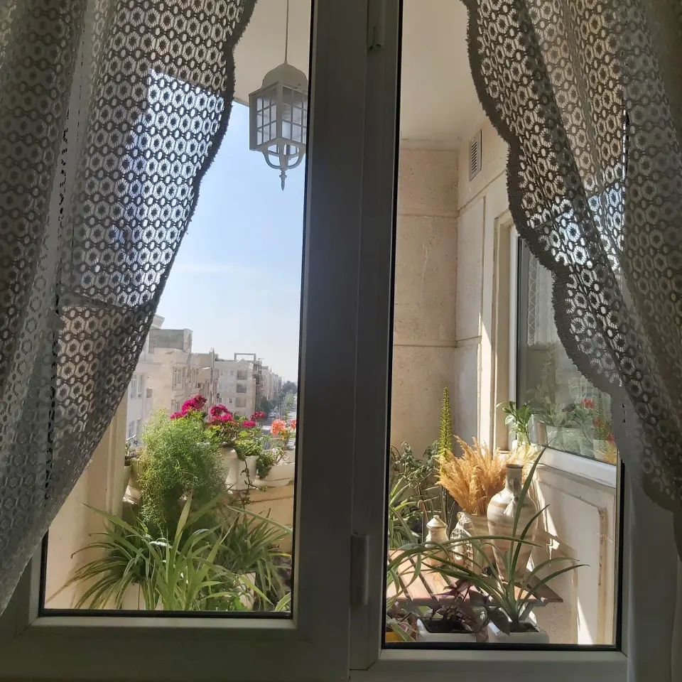 گالری مایا