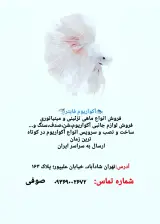 آکواریوم و ماهی فروشی صوفی
