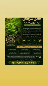 جیوه