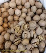 آجیل و خشکبار شاه مغز