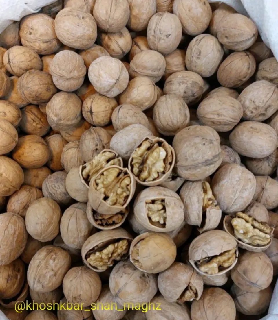 آجیل و خشکبار شاه مغز