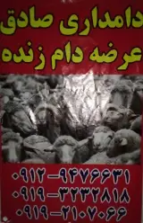 دامداری صادق