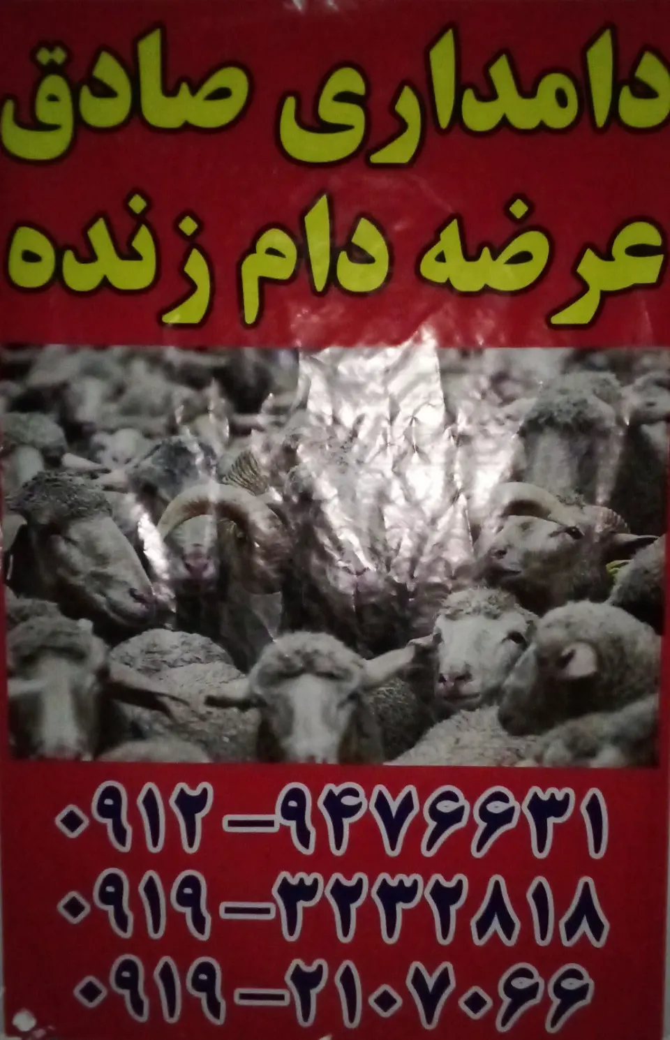 دامداری صادق