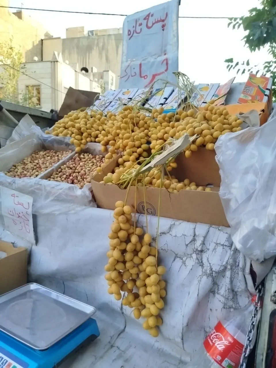سوپرمیوه کلاته