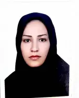 وکیل مریم نجفی
