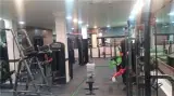 باشگاه بدنسازی سالاری