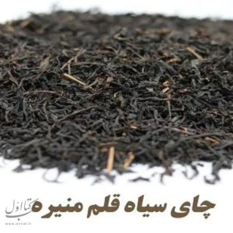 چای شمال سبزگامان هستی