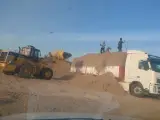 خوراک دام