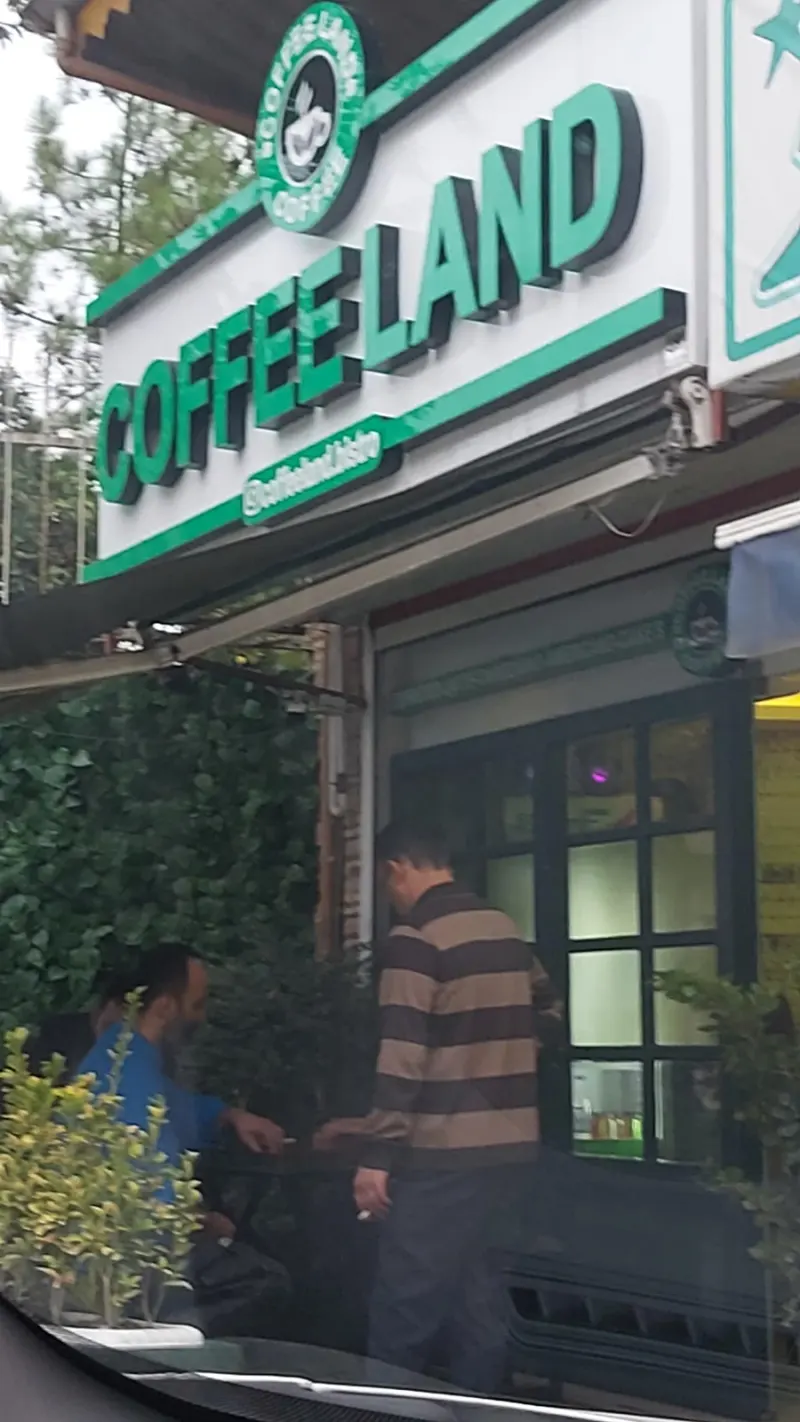 کافه طلوع Cafe toloo