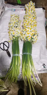 یونیک فلور (نیک فرجام) / unique florist