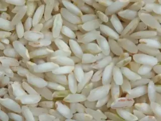 برنج عنبربو خوزستان فارس