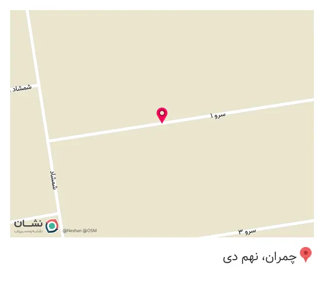 رویان پلیمر