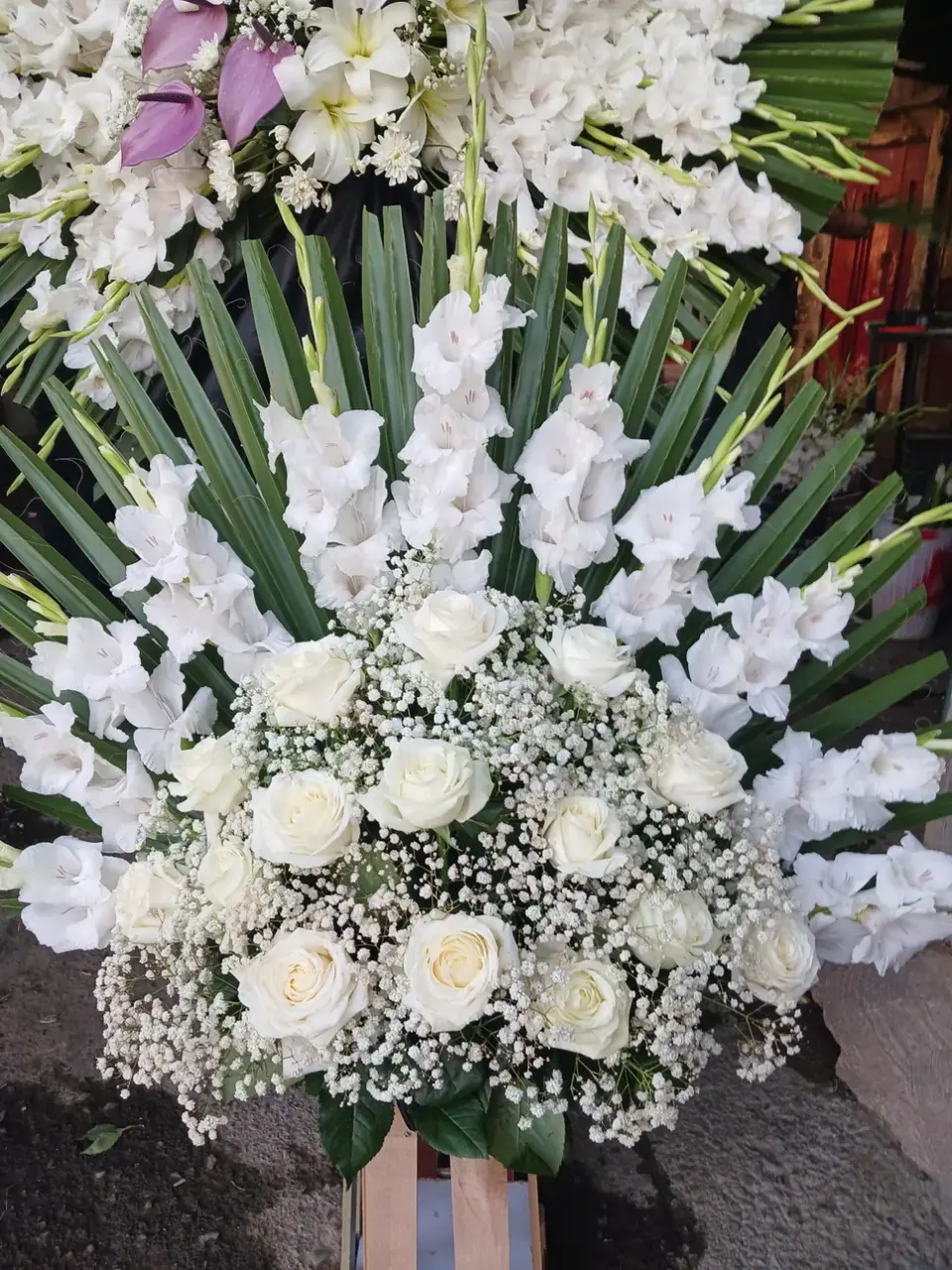 گلسرای گل بهشت