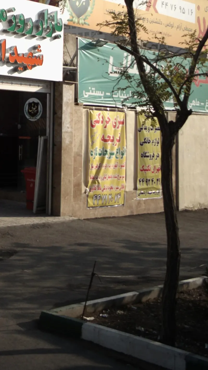 سبزی خرد کنی تربچه