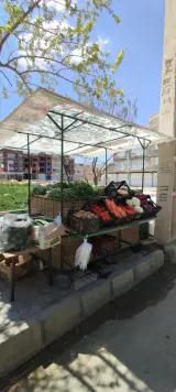 سبزی خرد کنی
