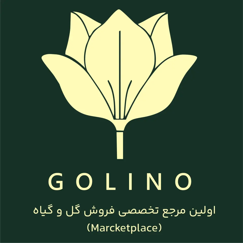 گلینو