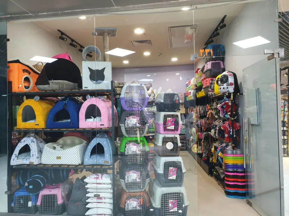 پت شاپ ریتا