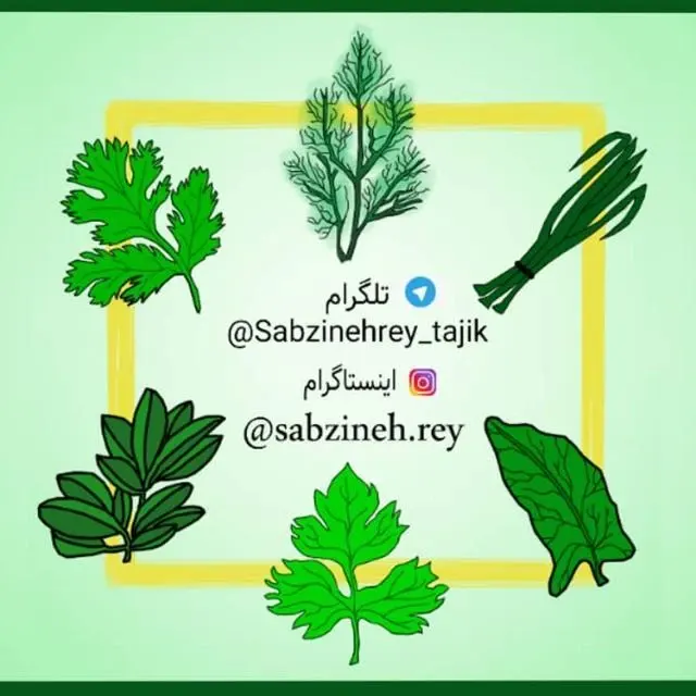 سبزینه ری.خانم تاجیک