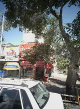 املاک راستین