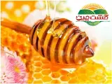 شرکت صنایع غذایی کشت چین