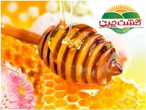 شرکت صنایع غذایی کشت چین