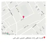 تولیدی کفش هانا