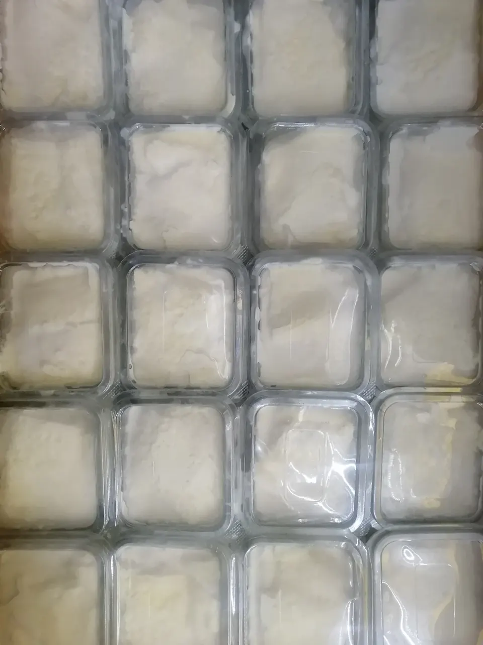 لبنیات هاشمی