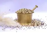 فروشگاه آنلاین پیشرو