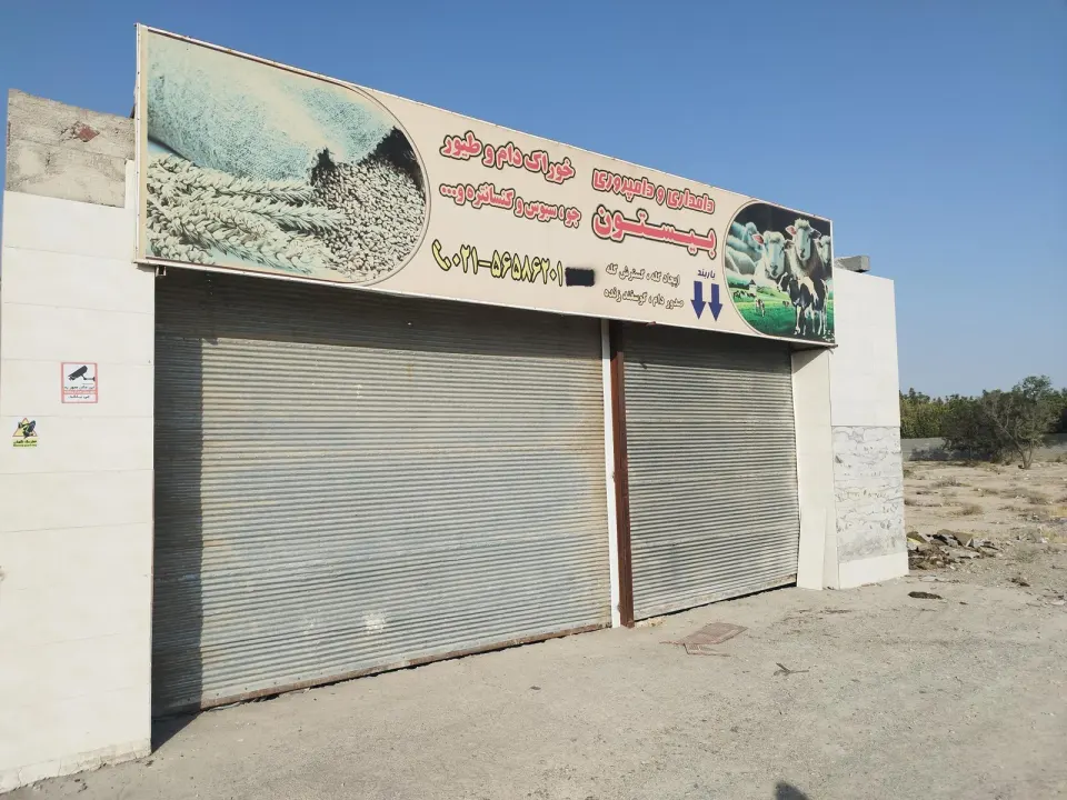 دامپروری ملکی