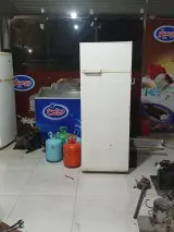 نوین برودت ایلیا