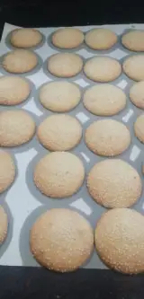 نان فانتزی برکت آریا