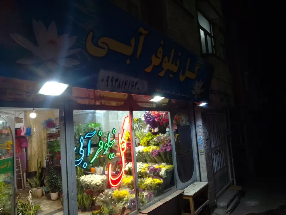 گلفروشی نیلوفرآبی