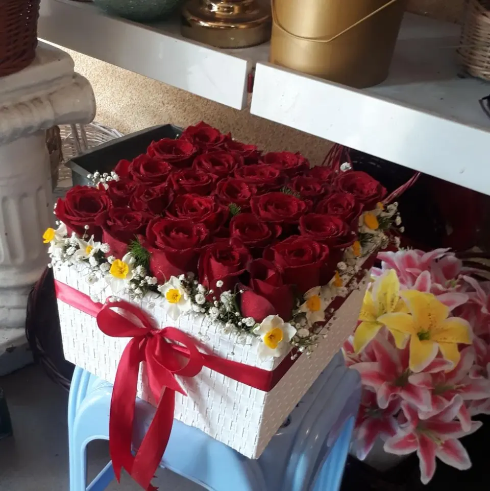 گل فرزیا