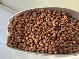 عمده فروشی قهوه راد