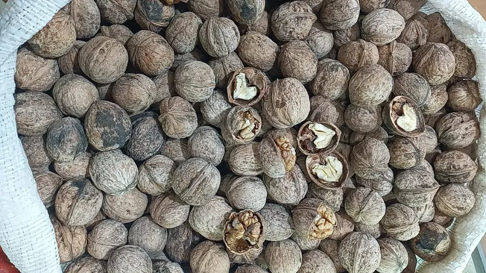 سوپر مارکت محمد خانی