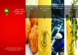 شرکت زیتون طلایی