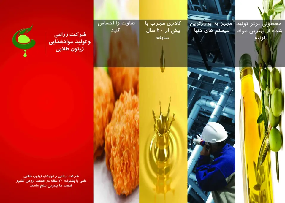 شرکت زیتون طلایی