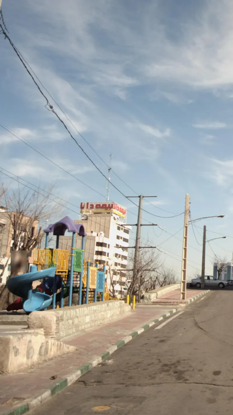 بیمه دانا